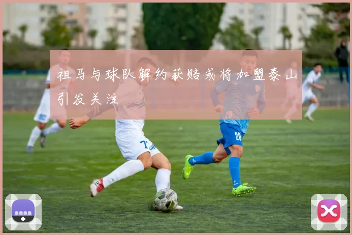 祖马与球队解约获赔或将加盟泰山引发关注